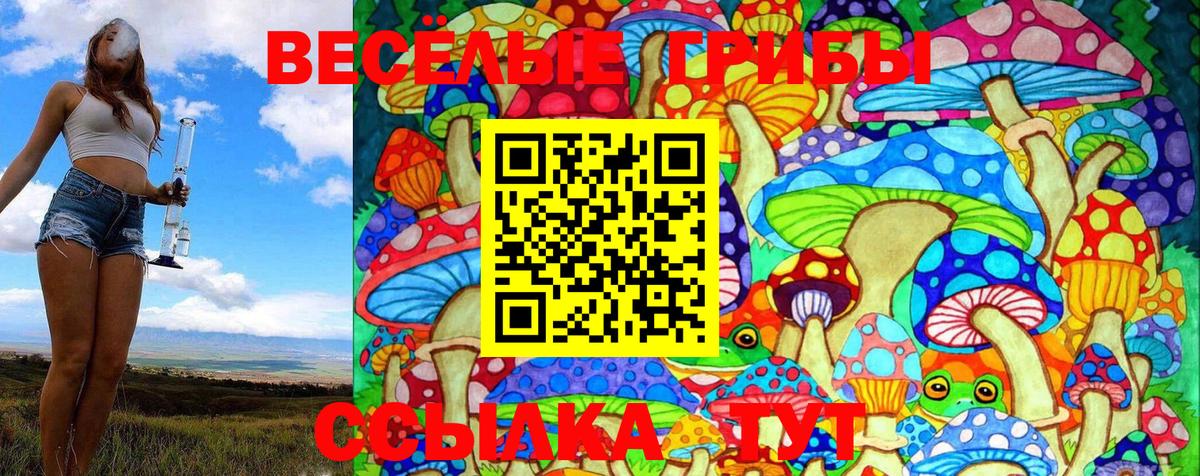 Псилоцибиновые грибы GOLDEN TEACHER Йошкар-Ола